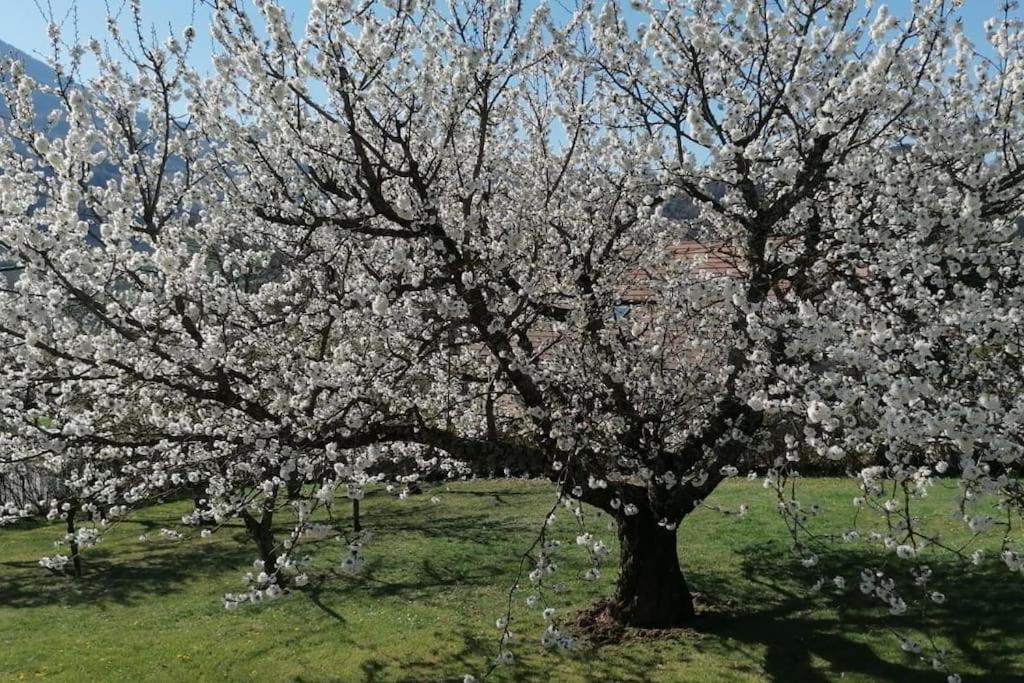 Maison De Montagne Saint Firmin  Dış mekan fotoğraf